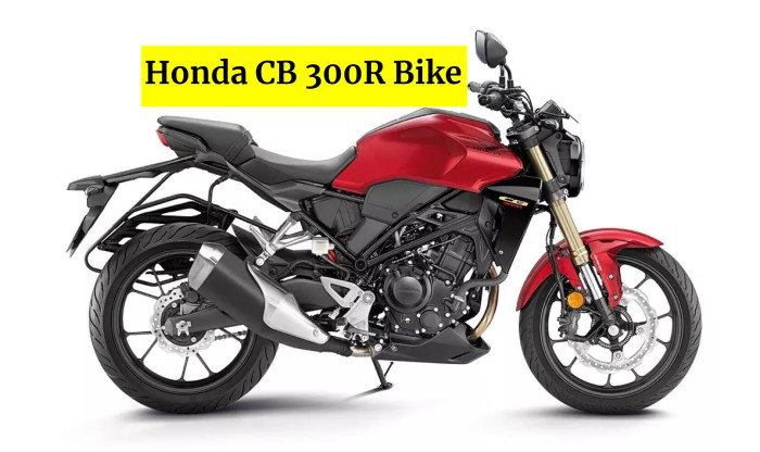 Honda CB 300R Bike